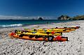 2007 04 24 Coromandel Peninsula 039_DXO